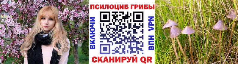 Галлюциногенные грибы ЛСД  купить наркотик  Пенза 